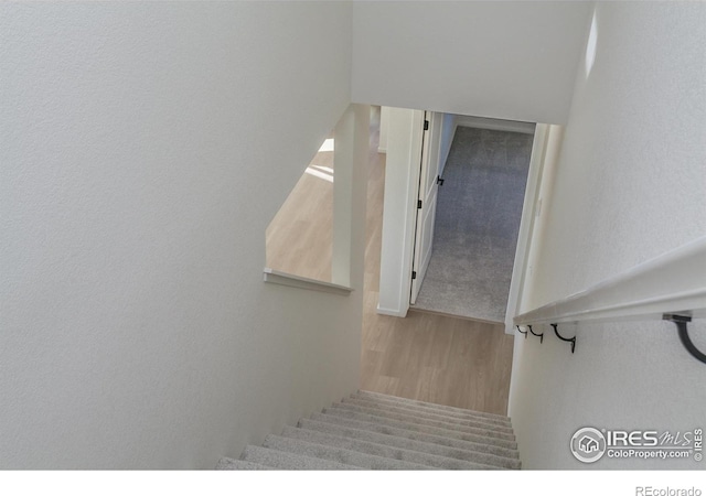 stairway featuring wood-type flooring