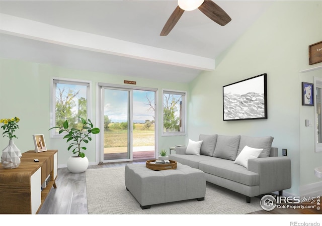 living room featuring a wealth of natural light, lofted ceiling with beams, light hardwood / wood-style floors, and ceiling fan