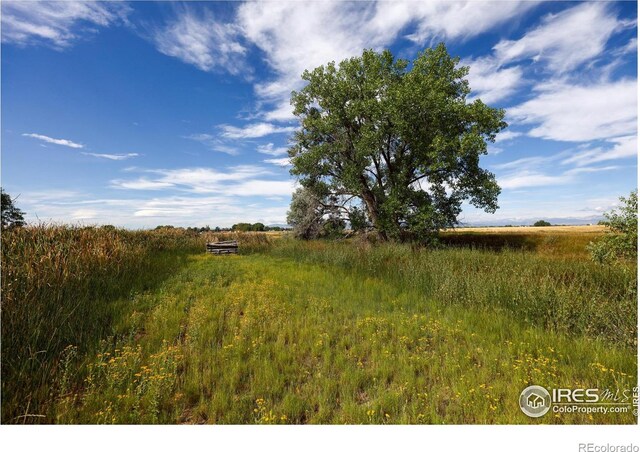 view of nature with a rural view