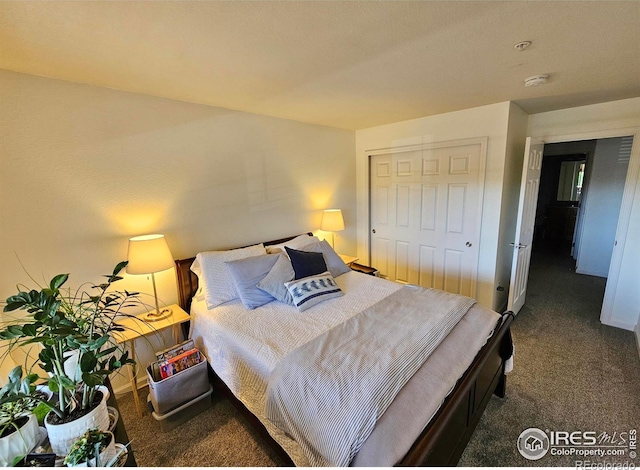 carpeted bedroom featuring a closet