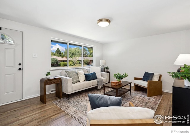 living room with hardwood / wood-style flooring