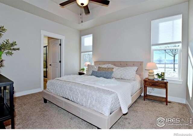 bedroom featuring light colored carpet, a raised ceiling, and ceiling fan