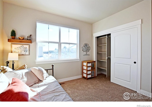 bedroom featuring multiple windows, a closet, and carpet