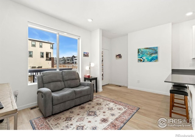 living room with light wood-type flooring