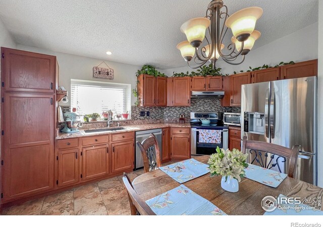 kitchen featuring decorative backsplash, stainless steel appliances, exhaust hood, sink, and a chandelier