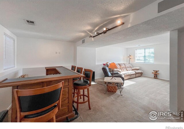 living room with light carpet and track lighting