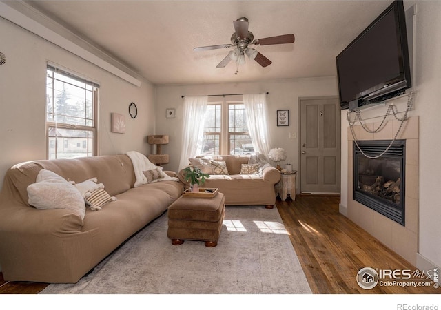 living room featuring hardwood / wood-style flooring, ceiling fan, and a tile fireplace