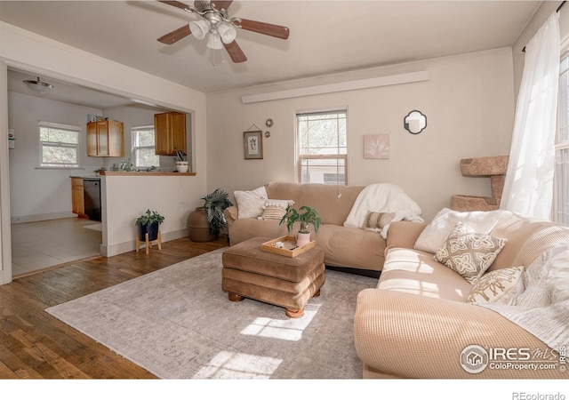 living room featuring dark hardwood / wood-style floors and ceiling fan