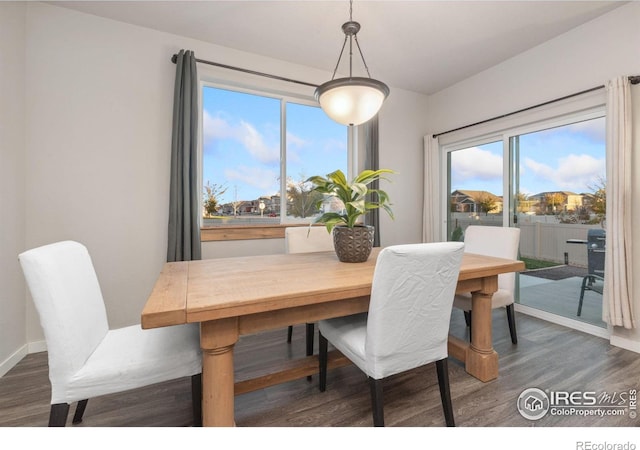 dining area with dark hardwood / wood-style floors