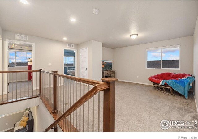 hall with carpet and a wealth of natural light