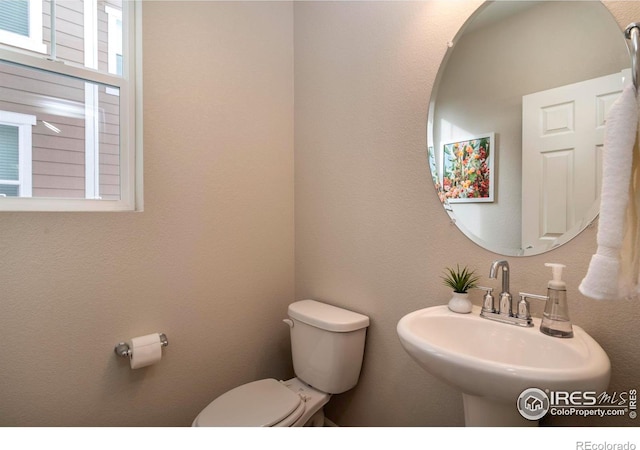 bathroom featuring sink and toilet