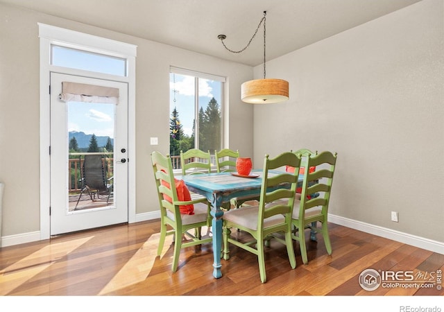 dining space featuring hardwood / wood-style flooring