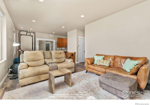 living room featuring dark wood-type flooring