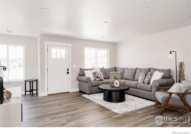 living room featuring light hardwood / wood-style floors