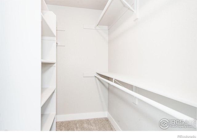 walk in closet featuring light colored carpet