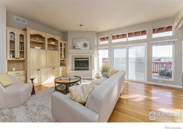 living room featuring a tile fireplace and light wood-type flooring