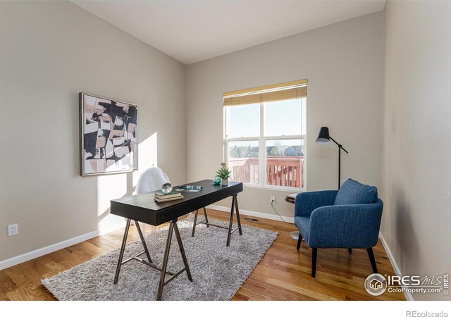 office space featuring wood-type flooring