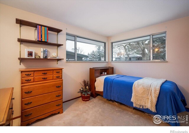 view of carpeted bedroom