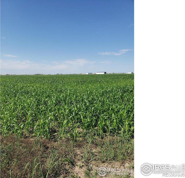 0 County Road 6, Wiggins CO, 80654 land for sale