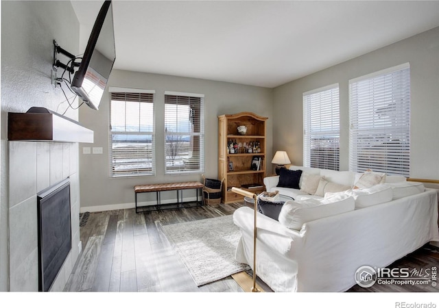 living room featuring a tile fireplace, dark hardwood / wood-style flooring, and plenty of natural light