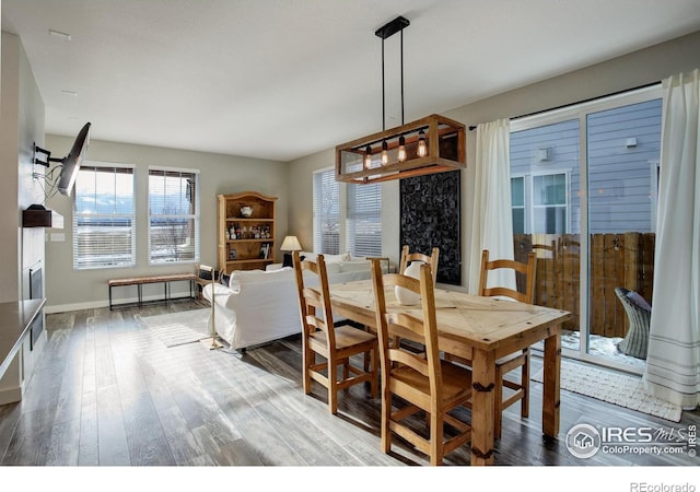 dining room with hardwood / wood-style floors