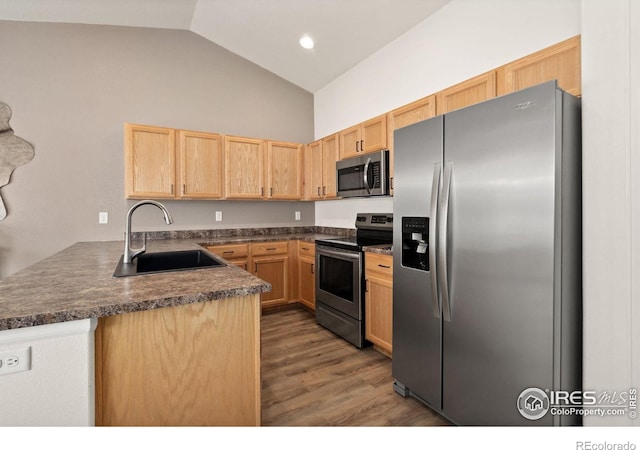 kitchen featuring dark wood-type flooring, stainless steel appliances, sink, and light brown cabinets