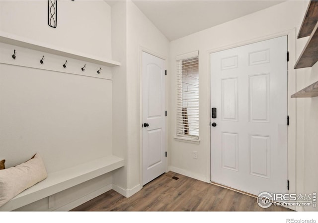 mudroom featuring dark wood-type flooring