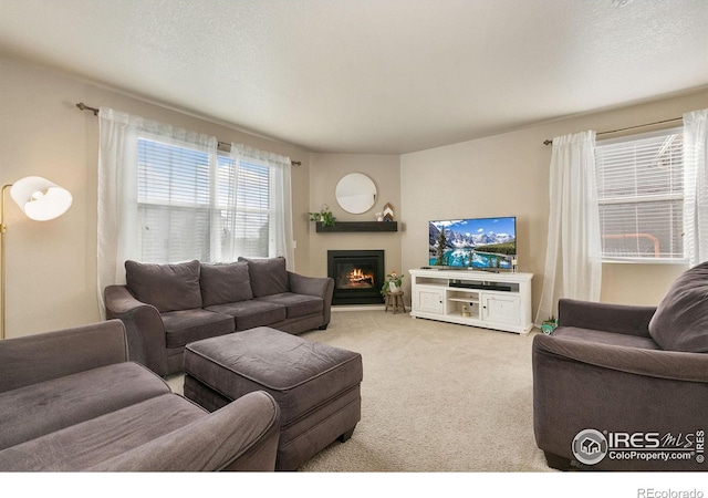 living area with a glass covered fireplace, a textured ceiling, and carpet