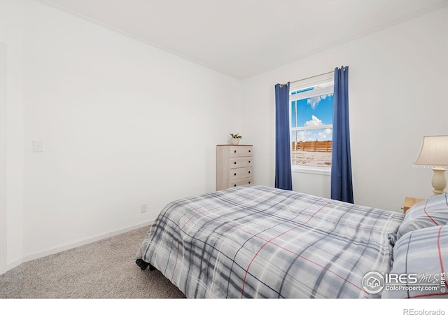 bedroom with carpet floors and baseboards