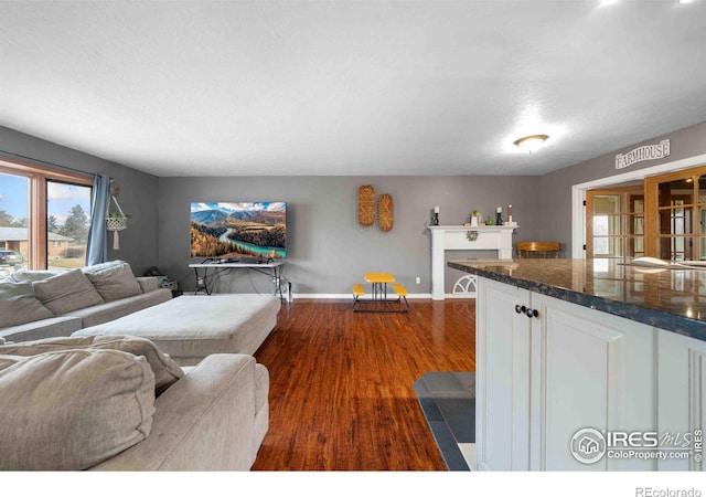 living room with dark hardwood / wood-style floors