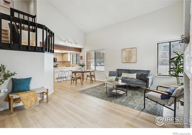 living room featuring light hardwood / wood-style floors and high vaulted ceiling