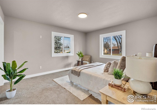 bedroom featuring carpet flooring