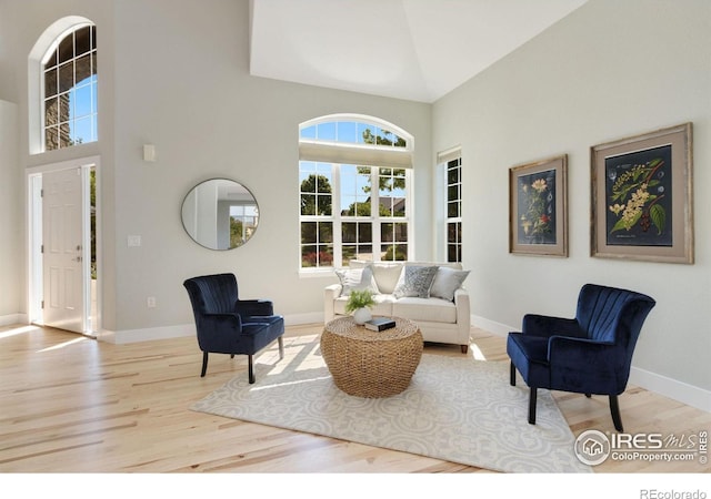 living room featuring light hardwood / wood-style floors and high vaulted ceiling