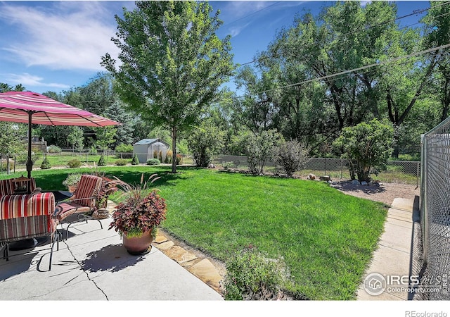 view of yard featuring a patio area