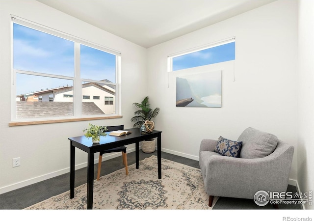 home office with carpet flooring and a healthy amount of sunlight