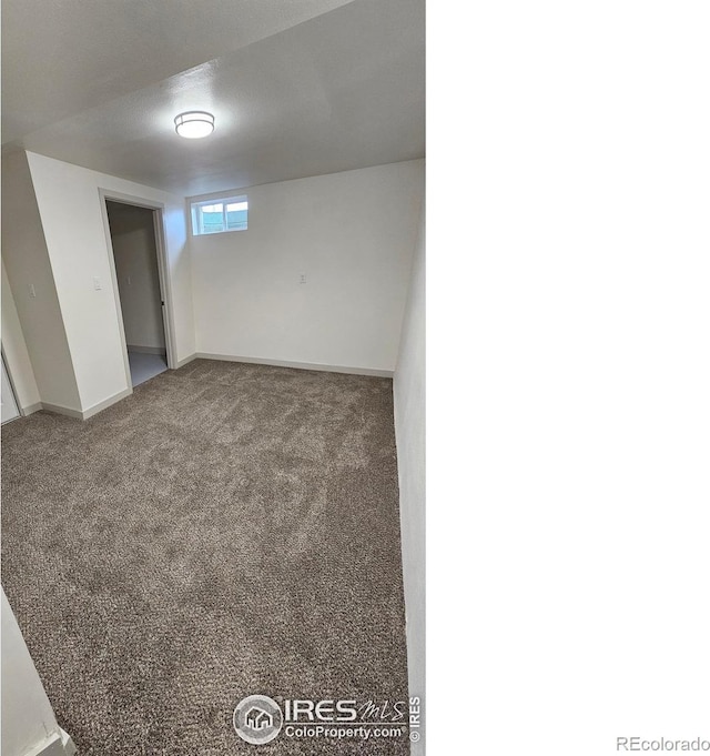 unfurnished room with carpet flooring