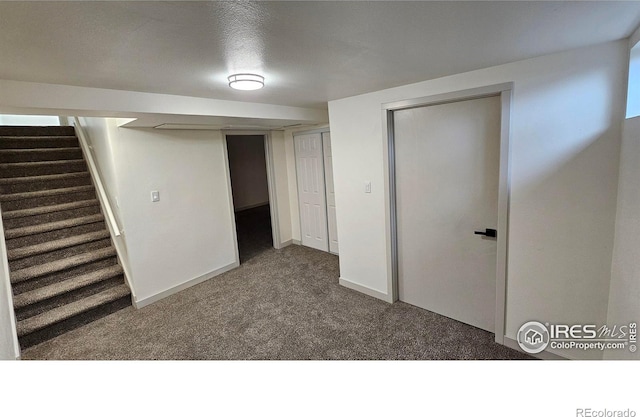 basement with carpet flooring