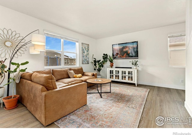 living room featuring hardwood / wood-style flooring