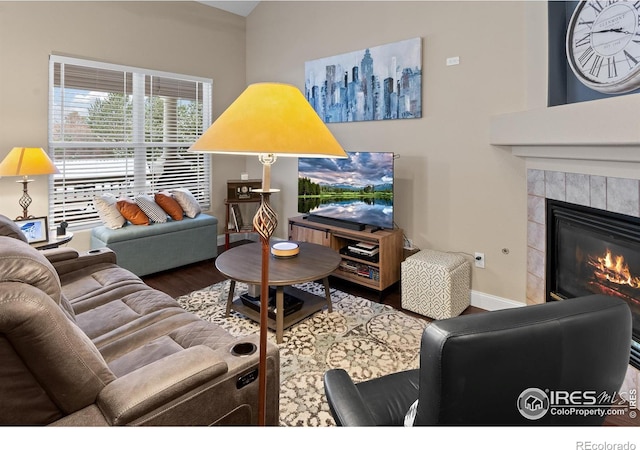 living room featuring a fireplace and hardwood / wood-style flooring