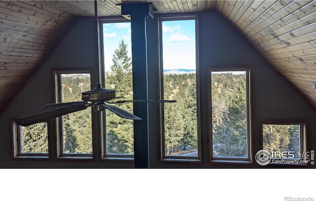 interior space featuring lofted ceiling and wooden ceiling