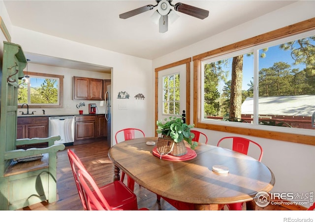 dining area featuring dark hardwood / wood-style floors, ceiling fan, and sink