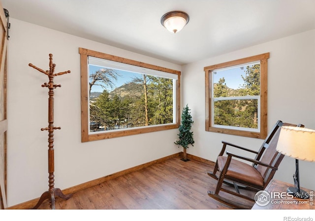 sitting room with light hardwood / wood-style floors