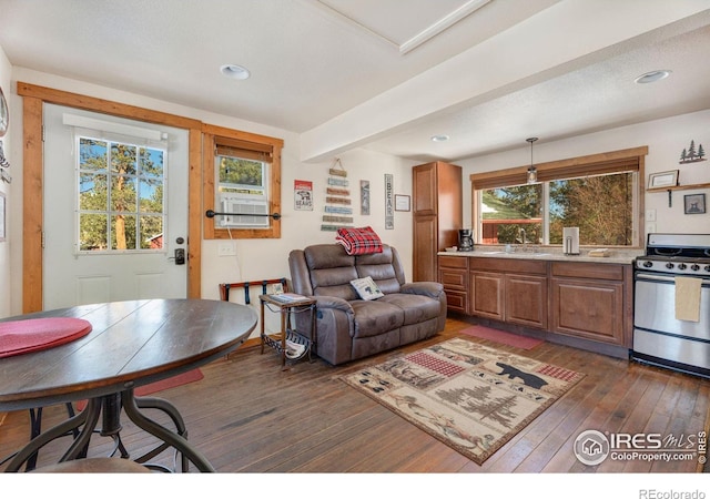 living room with dark hardwood / wood-style floors, plenty of natural light, cooling unit, and sink