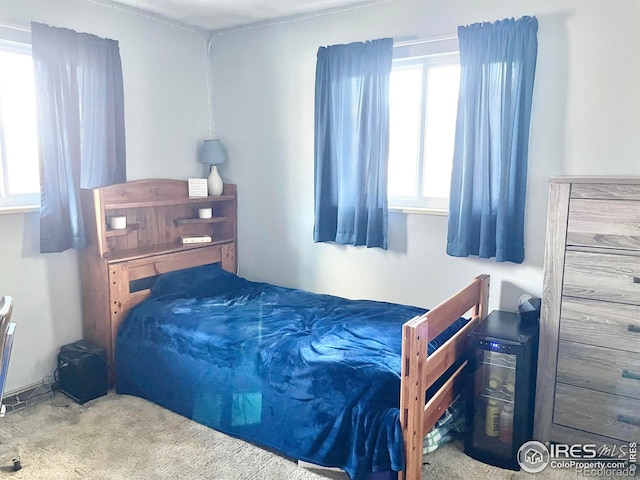 bedroom with carpet floors