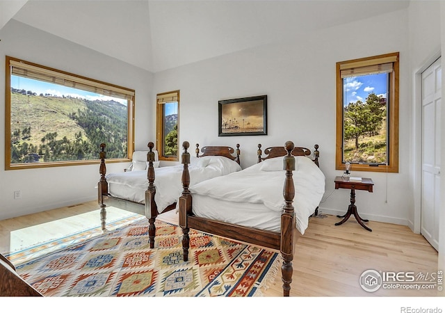 bedroom with multiple windows and light hardwood / wood-style flooring