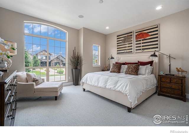 bedroom featuring carpet