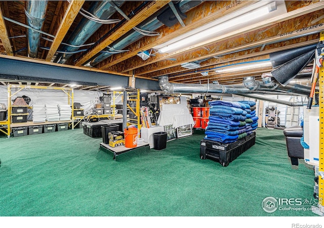 basement with carpet