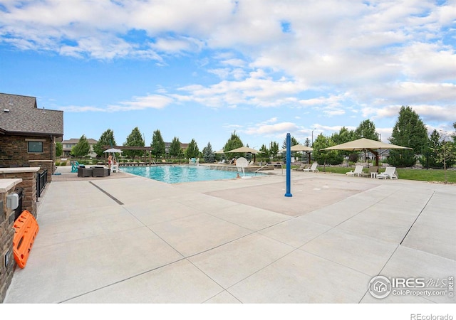 view of swimming pool featuring a patio area