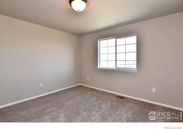 spare room featuring carpet floors