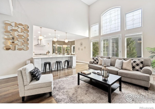 living room featuring a towering ceiling and hardwood / wood-style flooring